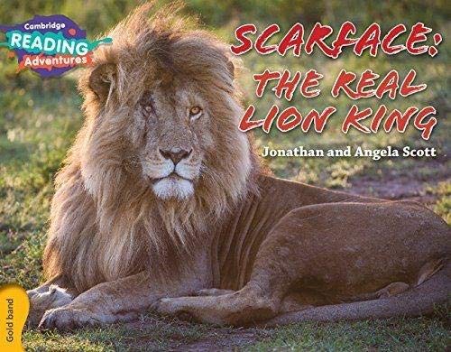 Imagen de archivo de Scarface - The Real Lion King a la venta por Blackwell's