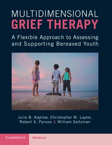 9781107566507: Multidimensional Grief Therapy: A Flexible Approach to Assessing and Supporting Bereaved Youth