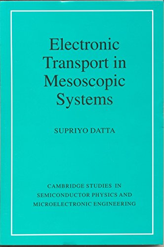 Imagen de archivo de Electronic Transport in Mesoscopic Systems a la venta por Majestic Books