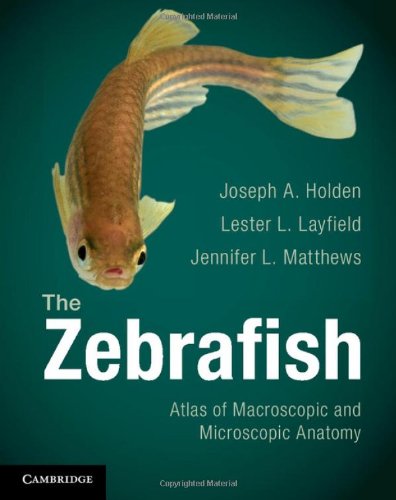 The Zebrafish: Atlas of Macroscopic and Microscopic Anatomy (9781107621343) by Holden, Joseph A.; Layfield, Lester L.; Matthews, Jennifer L.