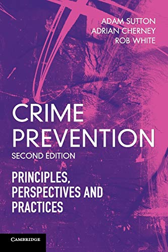 Stock image for Crime Prevention: Principles, Perspectives and Practices for sale by AwesomeBooks