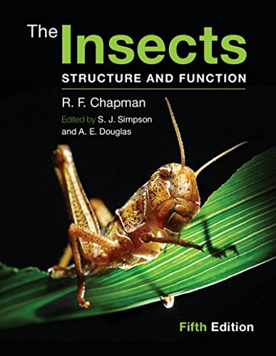 Stock image for INSECTS : STRUCTURE AND FUNCTION for sale by Universal Store