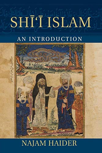 Stock image for Shi'i Islam: An Introduction (Introduction to Religion) for sale by Book Trader Cafe, LLC