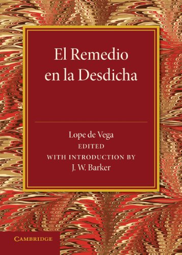 Stock image for El remedio en la desdicha for sale by MyLibraryMarket