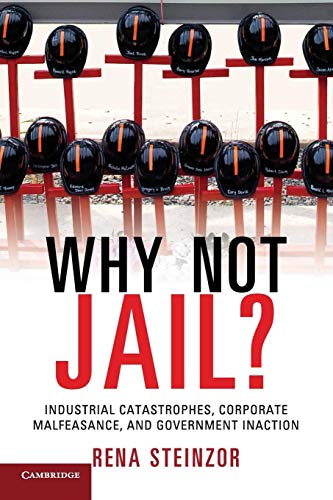 Beispielbild fr Why Not Jail? : Industrial Catastrophes, Corporate Malfeasance, and Government Inaction zum Verkauf von Better World Books