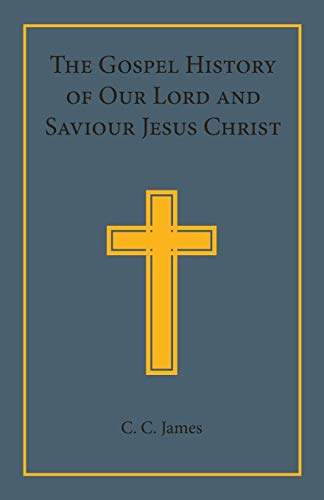 Beispielbild fr The Gospel History of our Lord and Saviour Jesus Christ: In a Connected Narrative in the Words of the Revised Version zum Verkauf von THE SAINT BOOKSTORE