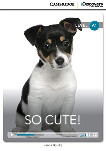 Stock image for So Cute! Beginning Book with Online Access (Cambridge Discovery Education Interactive Readers) for sale by MusicMagpie