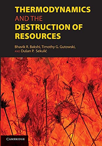 Stock image for Thermodynamics and the Destruction of Resources for sale by Chiron Media