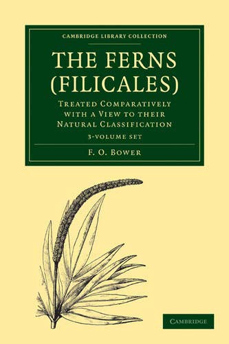 9781108013192: The Ferns (Filicales) 3 Volume Paperback Set: Volume SET 3 Paperback books: Treated Comparatively with a View to their Natural Classification (Cambridge Library Collection - Botany and Horticulture)