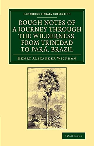 Stock image for Rough Notes of a Journey Through the Wilderness; from Trinidad to Para; Brazil: By Way of the Great Cataracts of the Orinoco; Atabapo; and Rio Negro for sale by Ria Christie Collections