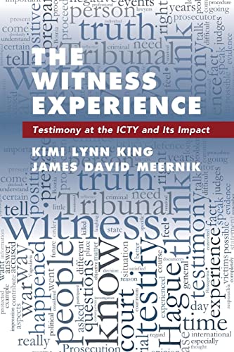 9781108402729: The Witness Experience: Testimony at the ICTY and Its Impact