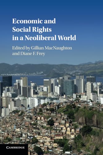 Stock image for Economic and Social Rights in a Neoliberal World for sale by Revaluation Books