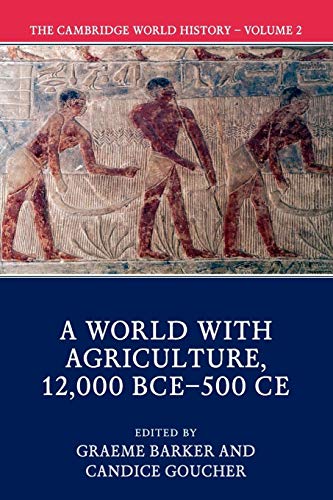 Stock image for The Cambridge World History for sale by Lakeside Books