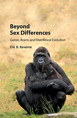 Stock image for Beyond Sex Differences: Genes, Brains and Matrilineal Evolution for sale by AwesomeBooks