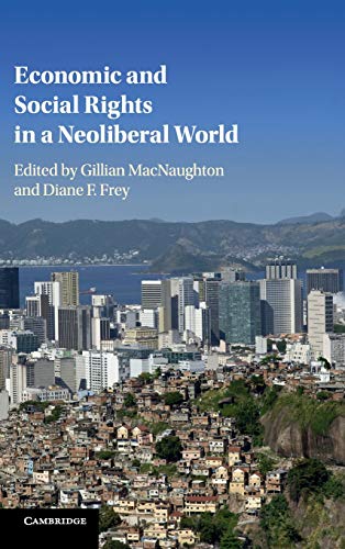 Stock image for Economic and Social Rights in a Neoliberal World for sale by Prior Books Ltd