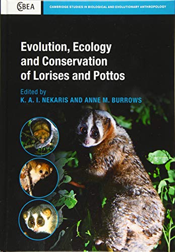 9781108429023: Evolution, Ecology and Conservation of Lorises and Pottos (Cambridge Studies in Biological and Evolutionary Anthropology)