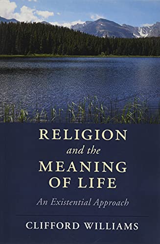 Beispielbild fr Religion and the Meaning of Life: An Existential Approach (Cambridge Studies in Religion, Philosophy, and Society) zum Verkauf von BooksRun