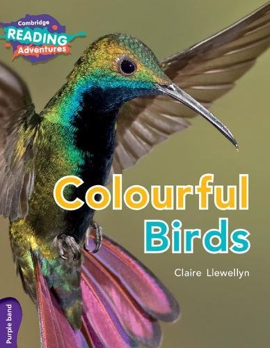 Beispielbild fr Colourful Birds zum Verkauf von Blackwell's