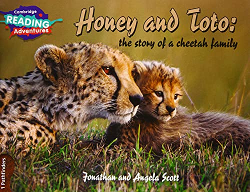 Beispielbild fr Cambridge Reading Adventures Honey and Toto: The Story of a Cheetah Family 1 Pathfinders zum Verkauf von WorldofBooks