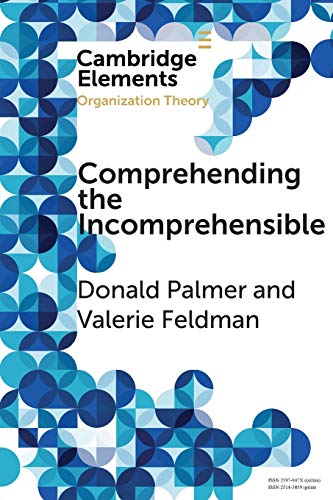 Imagen de archivo de Comprehending the Incomprehensible: Organization Theory and Child Sexual Abuse in Organizations a la venta por ThriftBooks-Atlanta