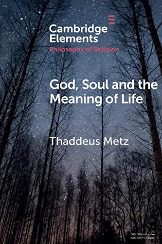 Stock image for God, Soul and the Meaning of Life for sale by Better World Books