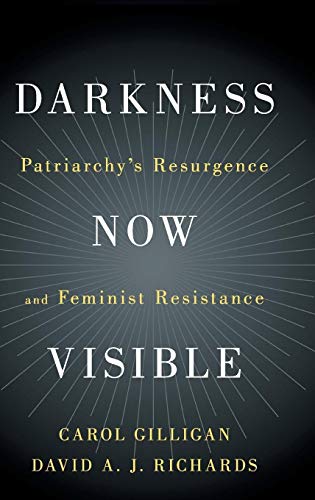 Stock image for Darkness Now Visible: Patriarchy's Resurgence and Feminist Resistance for sale by Decluttr