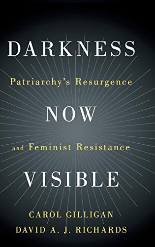 9781108470650: Darkness Now Visible: Patriarchy's Resurgence and Feminist Resistance