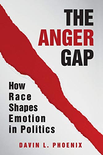 Stock image for The Anger Gap for sale by BooksRun