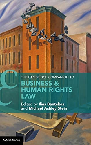 Stock image for The Cambridge Companion to Business and Human Rights Law (Cambridge Companions to Law) for sale by Lucky's Textbooks
