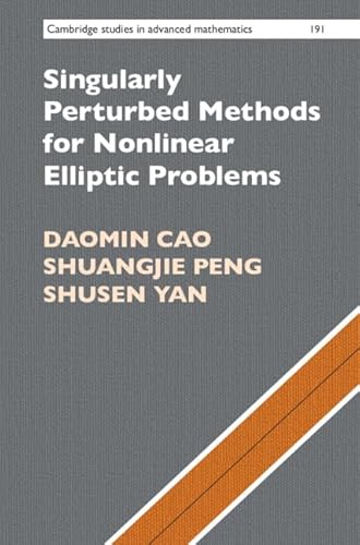 Stock image for Singularly Perturbed Methods for Nonlinear Elliptic Problems (Cambridge Studies in Advanced Mathematics) for sale by Chiron Media