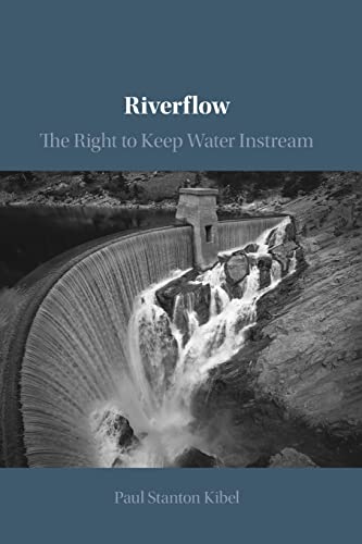 Imagen de archivo de Riverflow a la venta por Prior Books Ltd