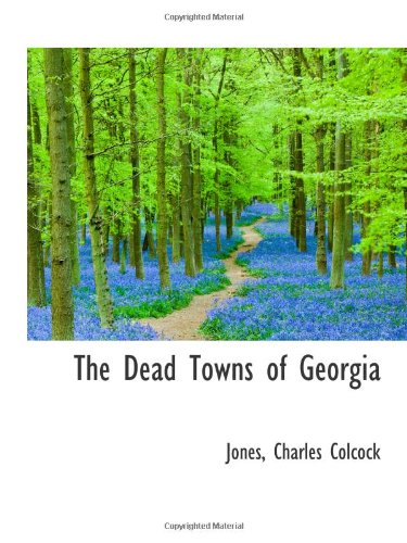 9781110349104: The Dead Towns of Georgia