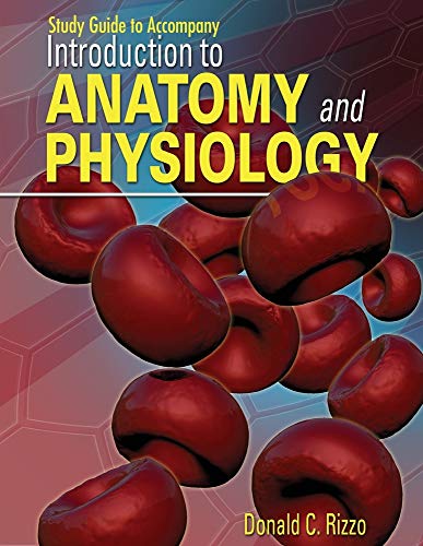 Imagen de archivo de Study Guide for Rizzo's Introduction to Anatomy and Physiology a la venta por HPB-Red