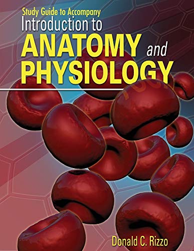 Stock image for Study Guide for Rizzo's Introduction to Anatomy and Physiology for sale by HPB-Red