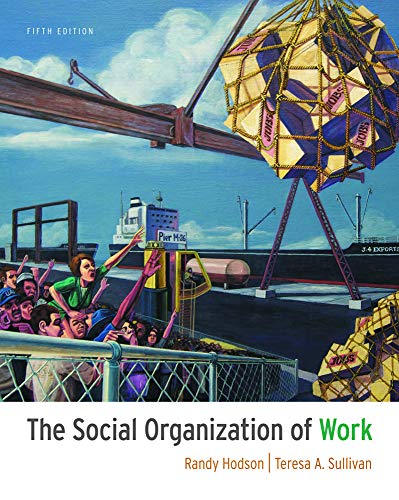 Imagen de archivo de The Social Organization of Work a la venta por BooksRun