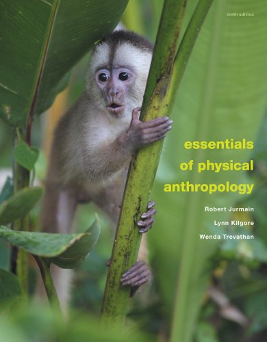 Beispielbild fr Essentials of Physical Anthropology zum Verkauf von Better World Books: West