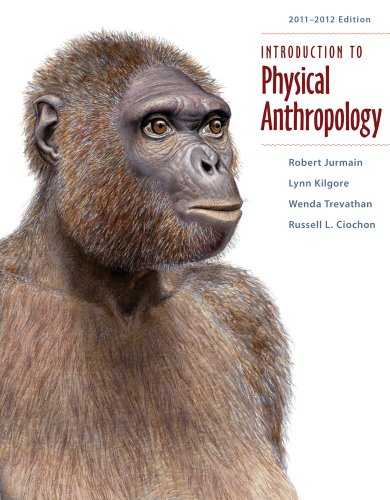 Bundle: Introduction to Physical Anthropology 2011-2012 Edition, 13th + WebTutorâ„¢ on WebCTâ„¢ with eBook on Gateway Printed Access Card (9781111978129) by Jurmain, Robert; Kilgore, Lynn; Trevathan, Wenda; Ciochon, Russell L.