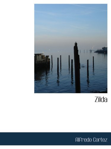 Stock image for Zilda (Portuguese Edition) for sale by Revaluation Books