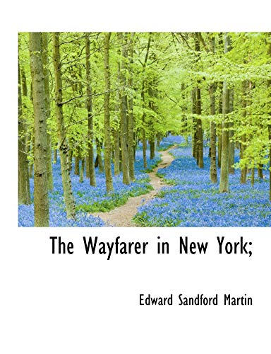 The Wayfarer in New York; (9781116686722) by Martin, Edward Sandford