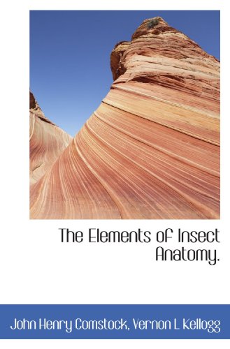 Beispielbild fr The Elements of Insect Anatomy. zum Verkauf von Revaluation Books