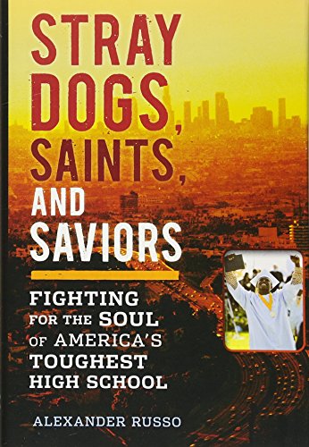 Stock image for Stray Dogs, Saints, and Saviors : Fighting for the Soul of America's Toughest High School for sale by Better World Books: West