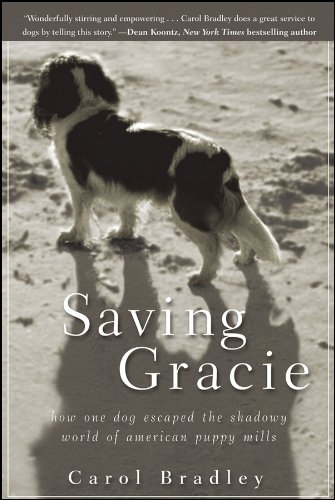 Imagen de archivo de Saving Gracie a la venta por Blackwell's
