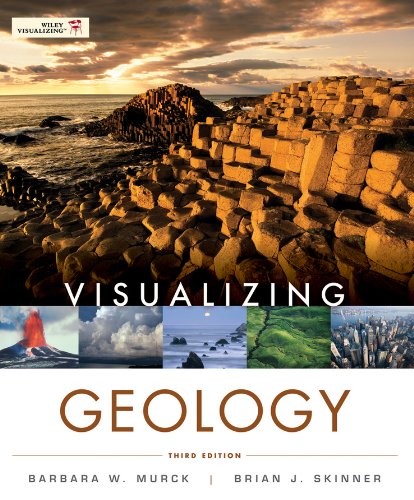 Imagen de archivo de Visualizing Geology a la venta por BooksRun