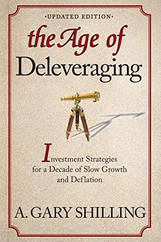 9781118150184: The Age of Deleveraging, Updated Edition: Investment Strategies for a Decade of Slow Growth and Deflation