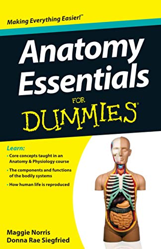 Imagen de archivo de Anatomy Essentials for Dummies a la venta por Better World Books
