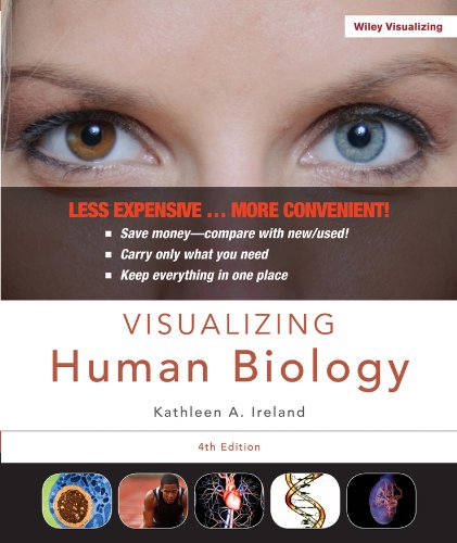 Stock image for Visualizing Human Biology, Binder Ready Version for sale by HPB-Red