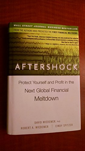 Imagen de archivo de Aftershock: Protect Yourself and Profit in the Next Global Financial Meltdown a la venta por SecondSale