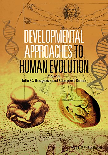 Beispielbild fr Developmental Approaches to Human Evolution zum Verkauf von Blackwell's