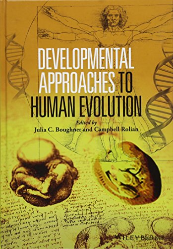 Stock image for Developmental Approaches to Human Evolution for sale by Blackwell's