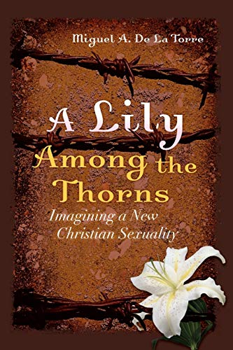 Stock image for A Lily Among the Thorns: Imagining a New Christian Sexuality for sale by ThriftBooks-Atlanta